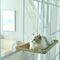 Hamac Elegant pentru pisica cu montaj pe geam, 55 x 32 cm 360978